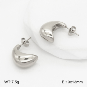 2E2006859aajl-355  Stainless Steel Earrings
