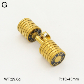 2P3000851vbpb-657  Stainless Steel Pendant