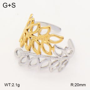 2R2002310vajj-355  Stainless Steel Ring