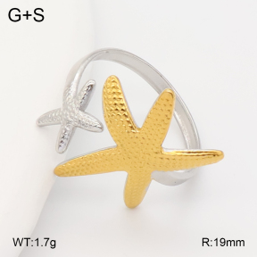 2R2002319vajj-355  Stainless Steel Ring