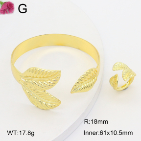 F2S006853aakl-J121  Fashion Set