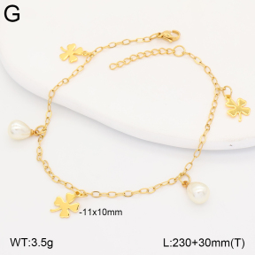 2A9001855vbll-656  Stainless Steel Anklets