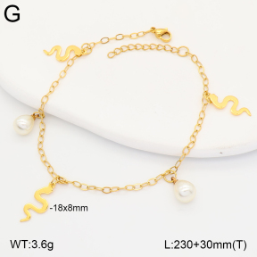 2A9001859vbll-656  Stainless Steel Anklets