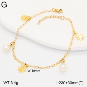 2A9001862vbll-656  Stainless Steel Anklets