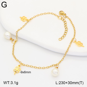 2A9001876vbll-656  Stainless Steel Anklets