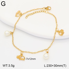 2A9001882vbll-656  Stainless Steel Anklets