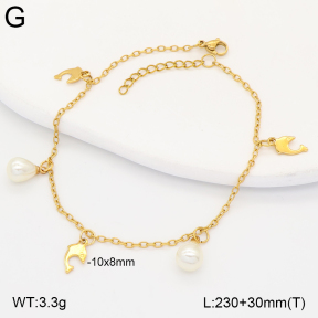 2A9001883vbll-656  Stainless Steel Anklets