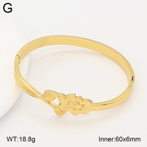 2BA202648bvpl-434  Stainless Steel Bangle
