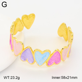 2BA300658abol-434  Stainless Steel Bangle