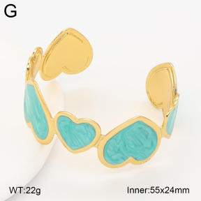 2BA300663vbnl-434  Stainless Steel Bangle
