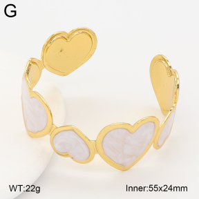 2BA300664vbnl-434  Stainless Steel Bangle