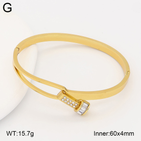 2BA402848vhhl-434  Stainless Steel Bangle