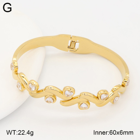 2BA402850bhia-434  Stainless Steel Bangle