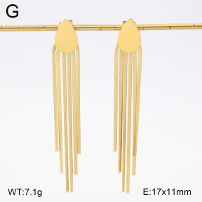 2E2006863ablb-367  Stainless Steel Earrings