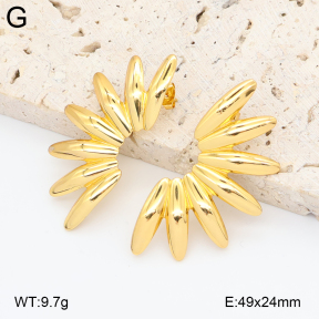 2E2006868baka-434  Stainless Steel Earrings