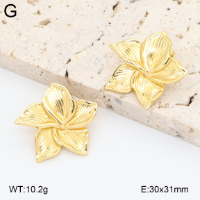2E2006869aajl-434  Stainless Steel Earrings