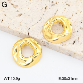 2E2006870aajl-434  Stainless Steel Earrings
