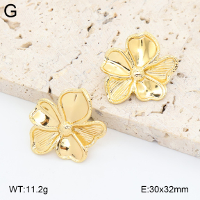 2E2006871aajl-434  Stainless Steel Earrings