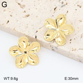 2E2006872aajl-434  Stainless Steel Earrings