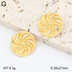 2E2006873aajl-434  Stainless Steel Earrings
