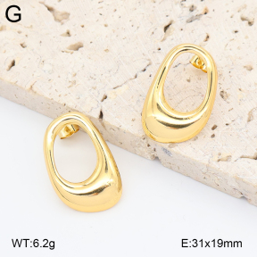 2E2006874aajl-434  Stainless Steel Earrings