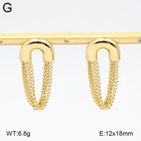 2E2006875vbmb-434  Stainless Steel Earrings