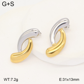 2E2006876vbll-434  Stainless Steel Earrings