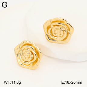 2E2006877vbmb-434  Stainless Steel Earrings