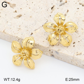 2E2006878vbmb-434  Stainless Steel Earrings