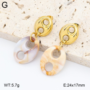 2E3004027vbnl-434  Stainless Steel Earrings