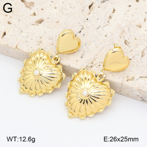 2E3004028vbmb-434  Stainless Steel Earrings