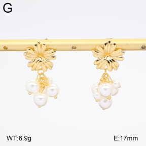 2E3004029vbmb-434  Stainless Steel Earrings