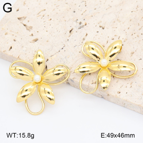 2E3004030vbmb-434  Stainless Steel Earrings