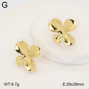 2E3004031vbll-434  Stainless Steel Earrings
