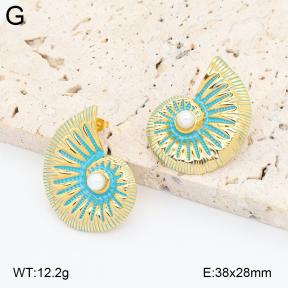 2E3004032vbpb-434  Stainless Steel Earrings
