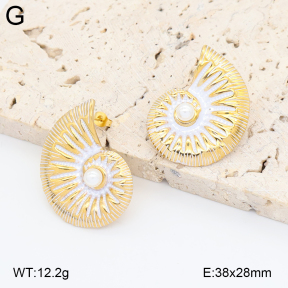 2E3004033vbpb-434  Stainless Steel Earrings