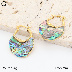 2E3004035bvpl-434  Stainless Steel Earrings