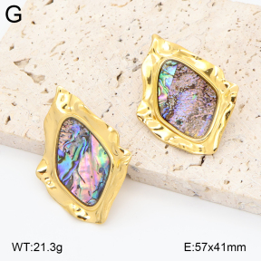2E3004036vhhl-434  Stainless Steel Earrings