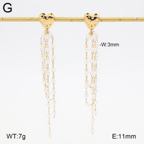 2E3004040vhha-434  Stainless Steel Earrings