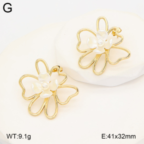2E3004041vbmb-434  Stainless Steel Earrings