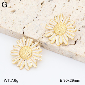 2E3004042aajl-434  Stainless Steel Earrings