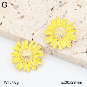2E3004043aajl-434  Stainless Steel Earrings