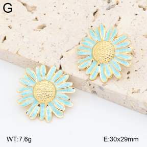 2E3004044aajl-434  Stainless Steel Earrings