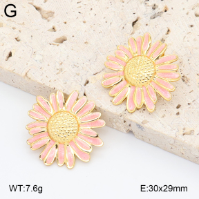 2E3004045aajl-434  Stainless Steel Earrings