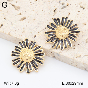 2E3004046aajl-434  Stainless Steel Earrings