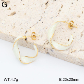 2E3004047vbnb-434  Stainless Steel Earrings