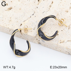 2E3004048vbnb-434  Stainless Steel Earrings