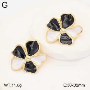 2E3004049aakl-434  Stainless Steel Earrings