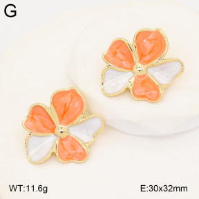 2E3004050aakl-434  Stainless Steel Earrings