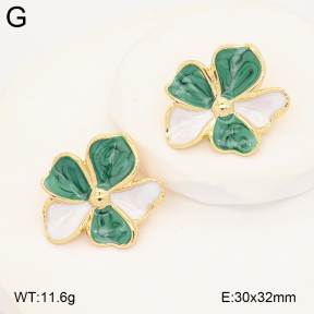 2E3004051aakl-434  Stainless Steel Earrings